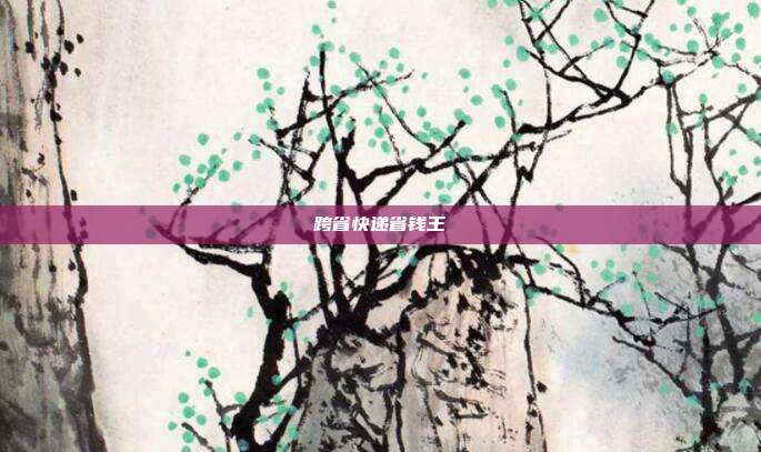 跨省快递省钱王