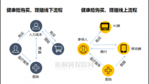 从包装到理赔全流程