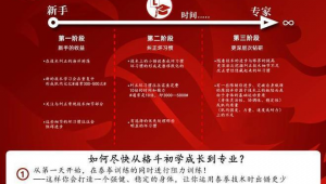 新手到专家进阶指南